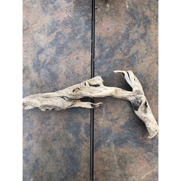 Other - Natural Driftwood for Plants Terrarium Taxidermy Art Projects